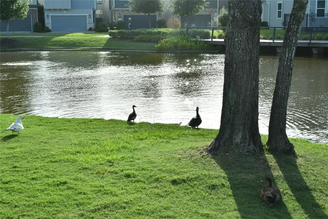 a view of a golf course with a garden