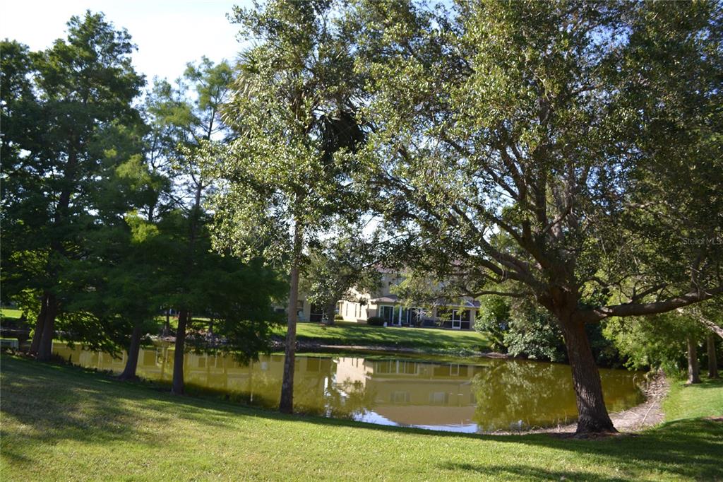 11235 Kapok Grand Circle Madeira Beach, FL 33708 - Photo 17 of 34 a view of swimming pool with a yard