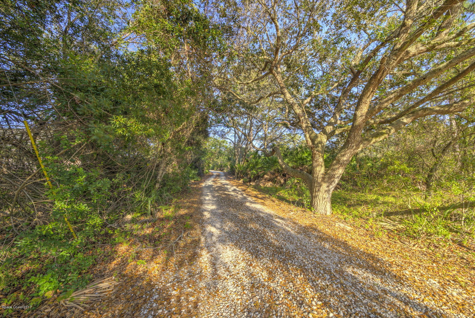 4055 Turtle Mound Road Melbourne, FL 32934 - Photo 79 of 80 Driveway back to Property