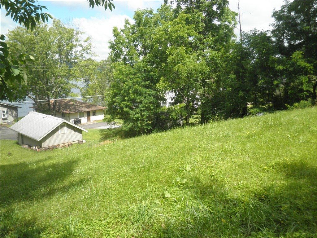 0 East Lake Road Honeoye, NY 14471 - Photo 9 of 11