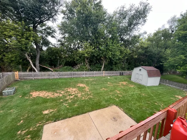 a view of a park with large trees