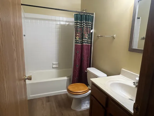 a bathroom with a sink a toilet and a shower
