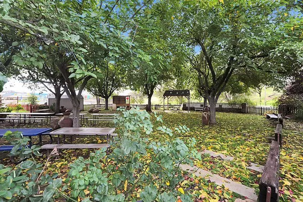 a view of a yard with plants and trees