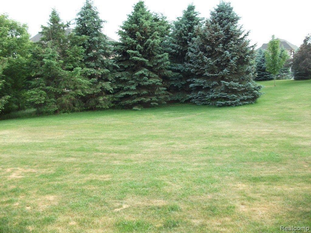 591 West Snell Road Rochester, MI 48306 - Photo 3 of 21 Wonderful Yard