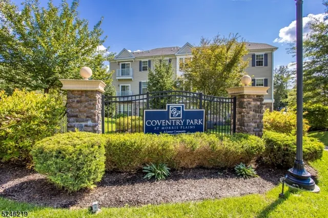a view of a garden filled with plants and a large tree