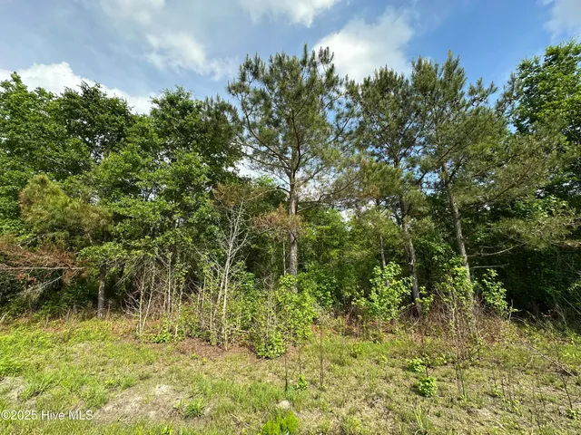 $189,900 | Lot 4 Mcgirt Road, Maxton, NC 28364