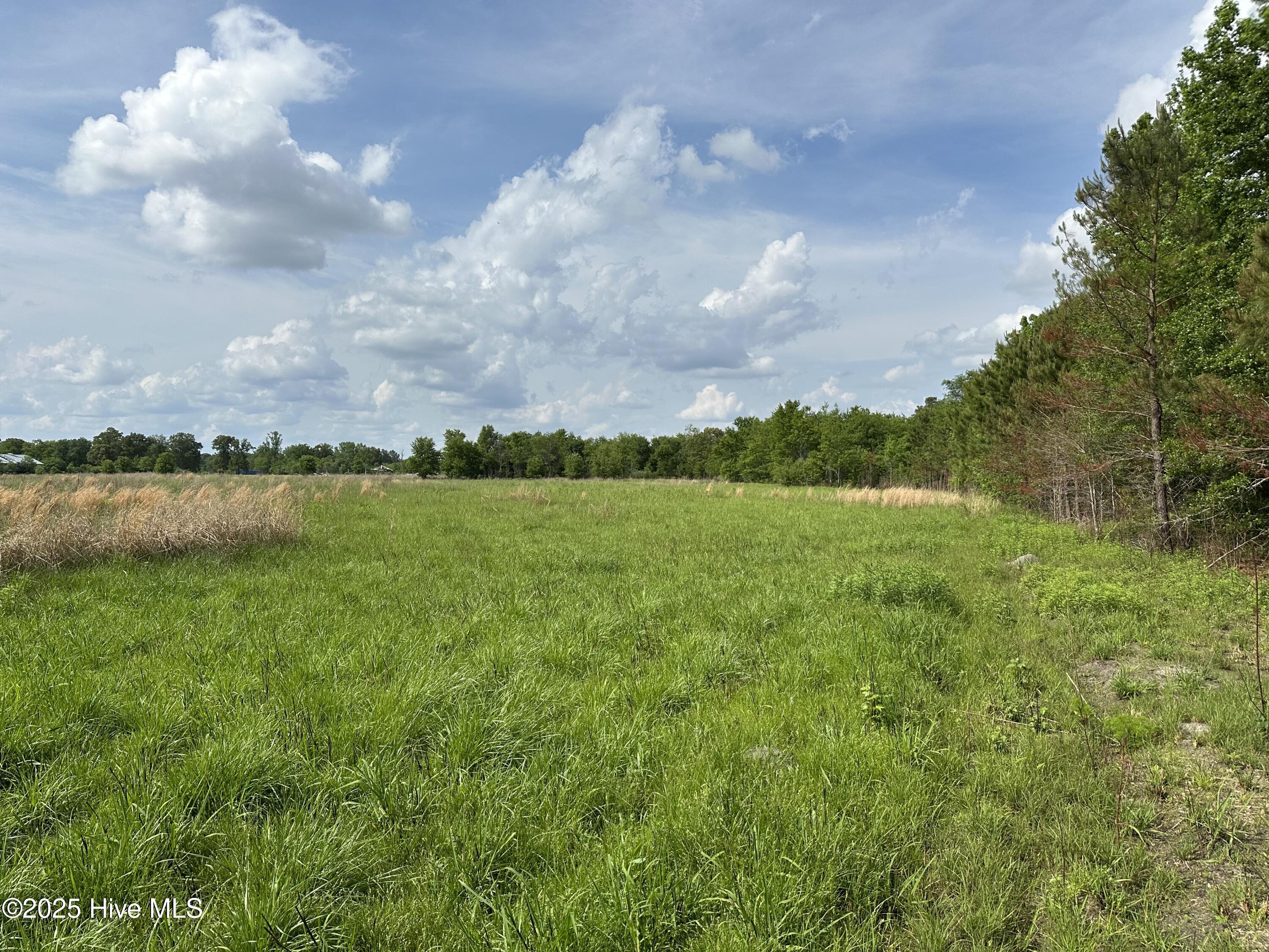Lot 4 Mcgirt Road Maxton, NC 28364 - Photo 5 of 6 IMG_0776