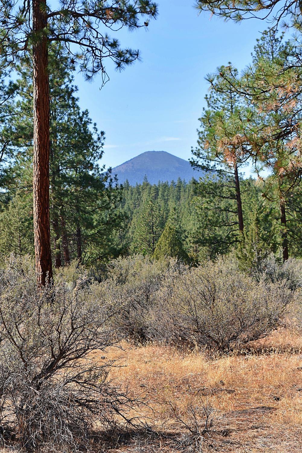 17695 Wilt Road Sisters, OR 97759 - Photo 11 of 16 Additional Photo
