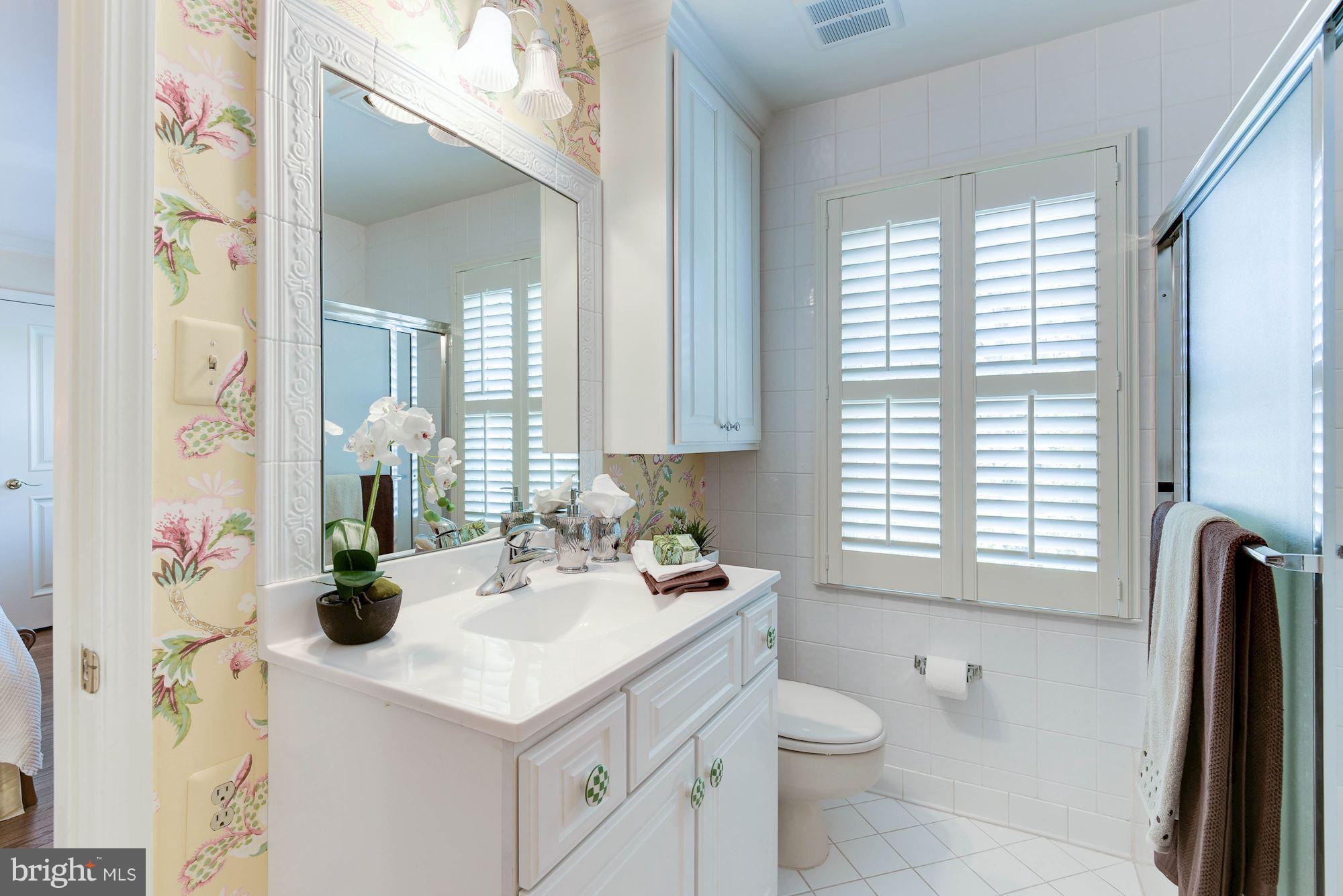 1328 Skipwith Road McLean, VA 22101 - Photo 22 of 30 Full Bath