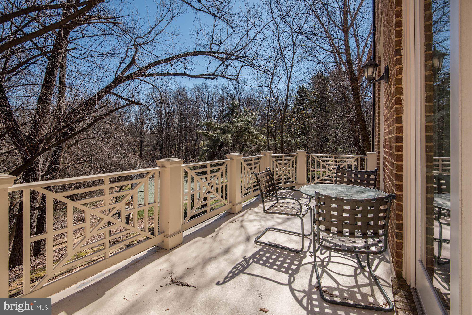 1328 Skipwith Road McLean, VA 22101 - Photo 28 of 30 Rear Deck