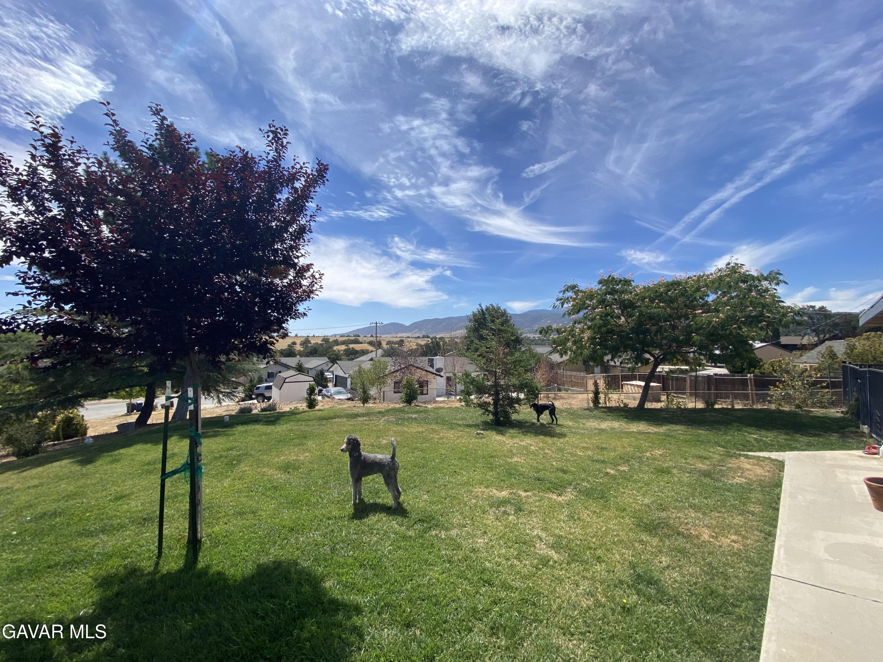 20909 Ridgeway Drive Tehachapi, CA 93561 - Photo 13 of 13 a view of a park with large trees