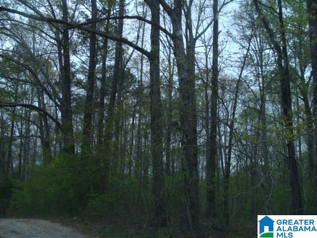 406 Caffe Ridge, Unit PARCEL Woodstock, AL 35188 - Photo 11 of 30
