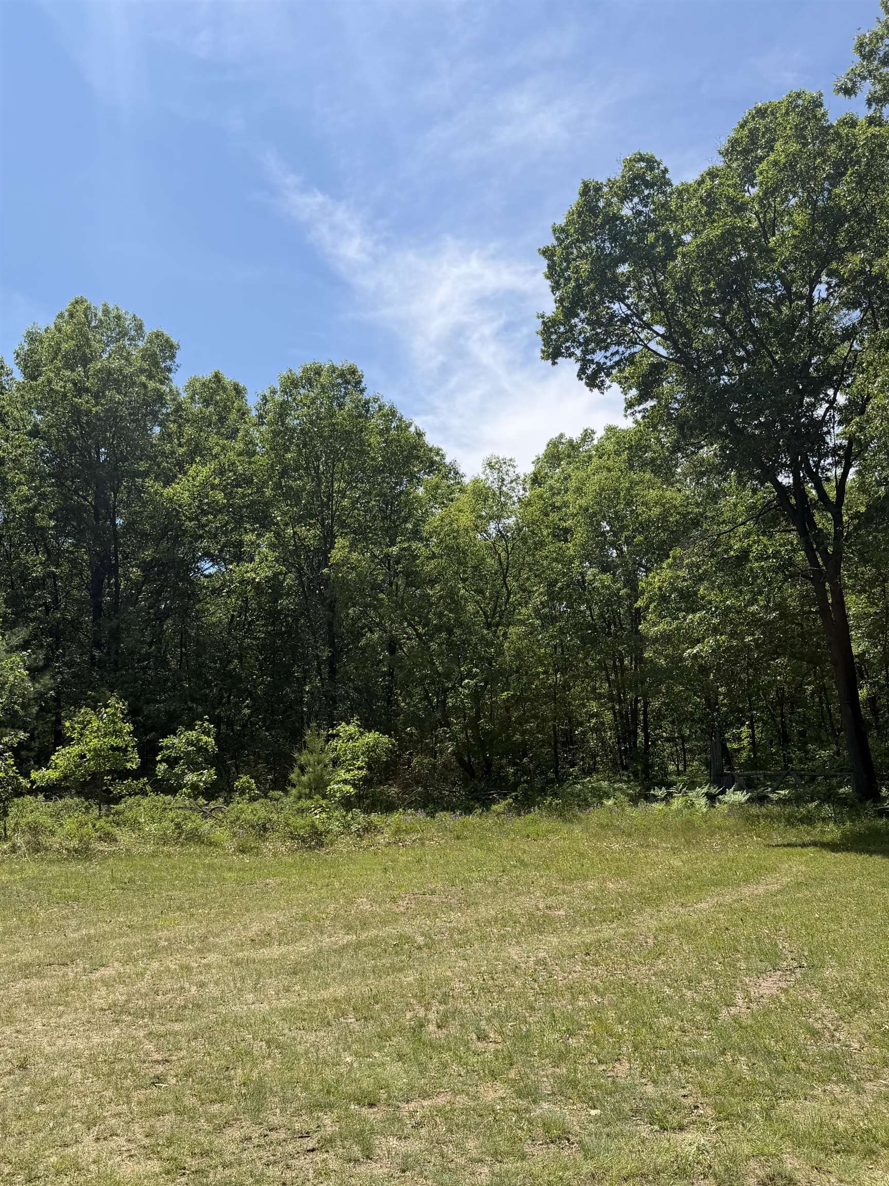 North Court, Unit 49 Shawano, WI 54166 - Photo 15 of 19