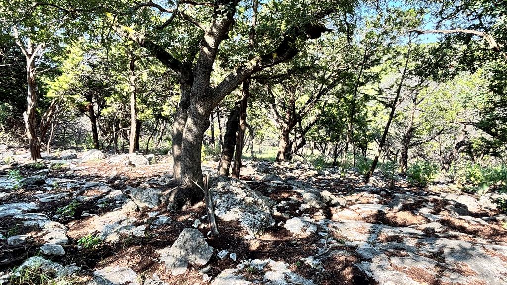 145 Mai Road Kerrville, TX 78028 - Photo 10 of 16 Gallery Image 10
