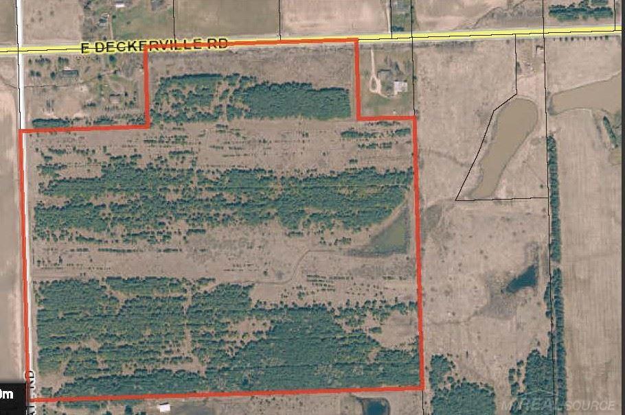East Deckerville Road Deckerville, MI 48427 - Photo 1 of 3
