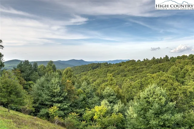 a view of a city with lush green forest