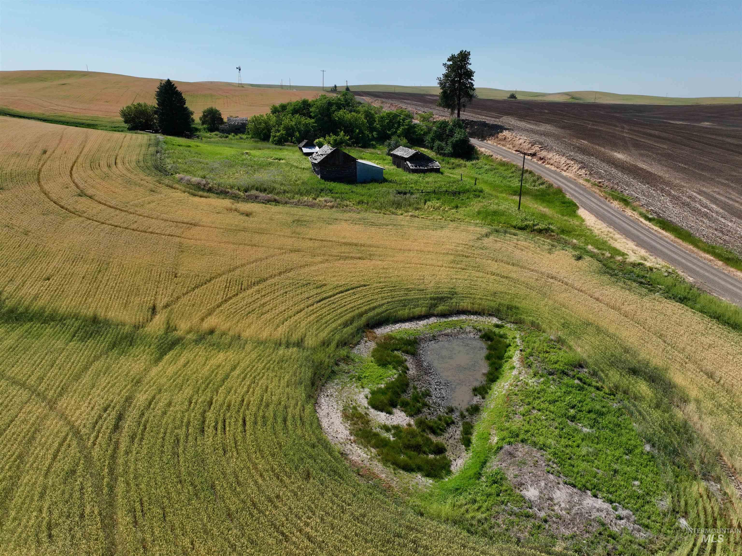 Tbd Central Ridge Road Craigmont, ID 83523 - Photo 2 of 40