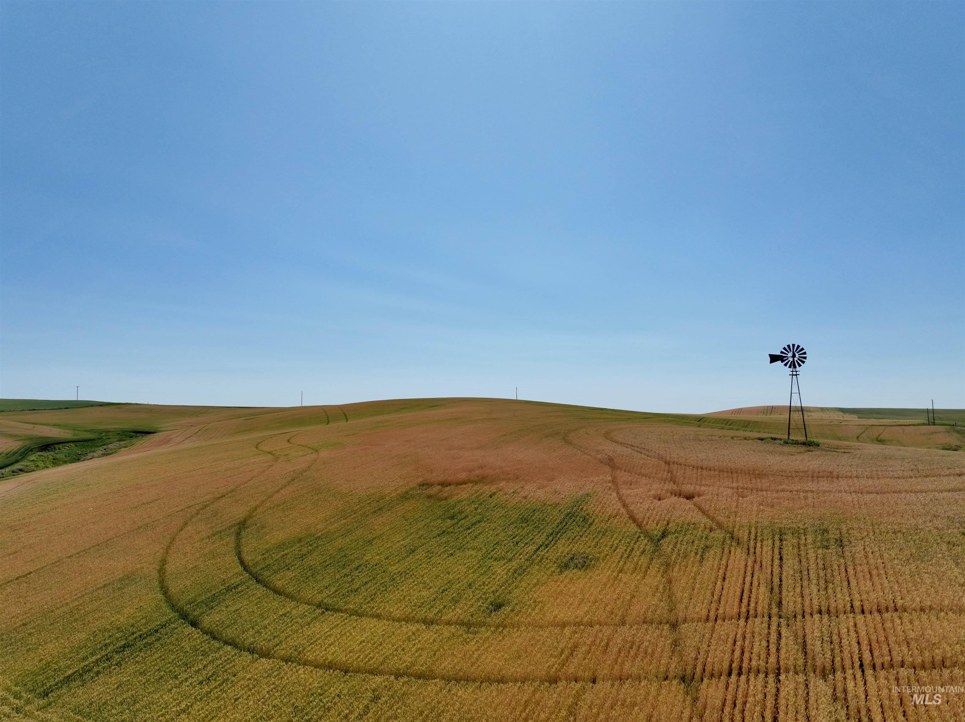 Tbd Central Ridge Road Craigmont, ID 83523 - Photo 21 of 40