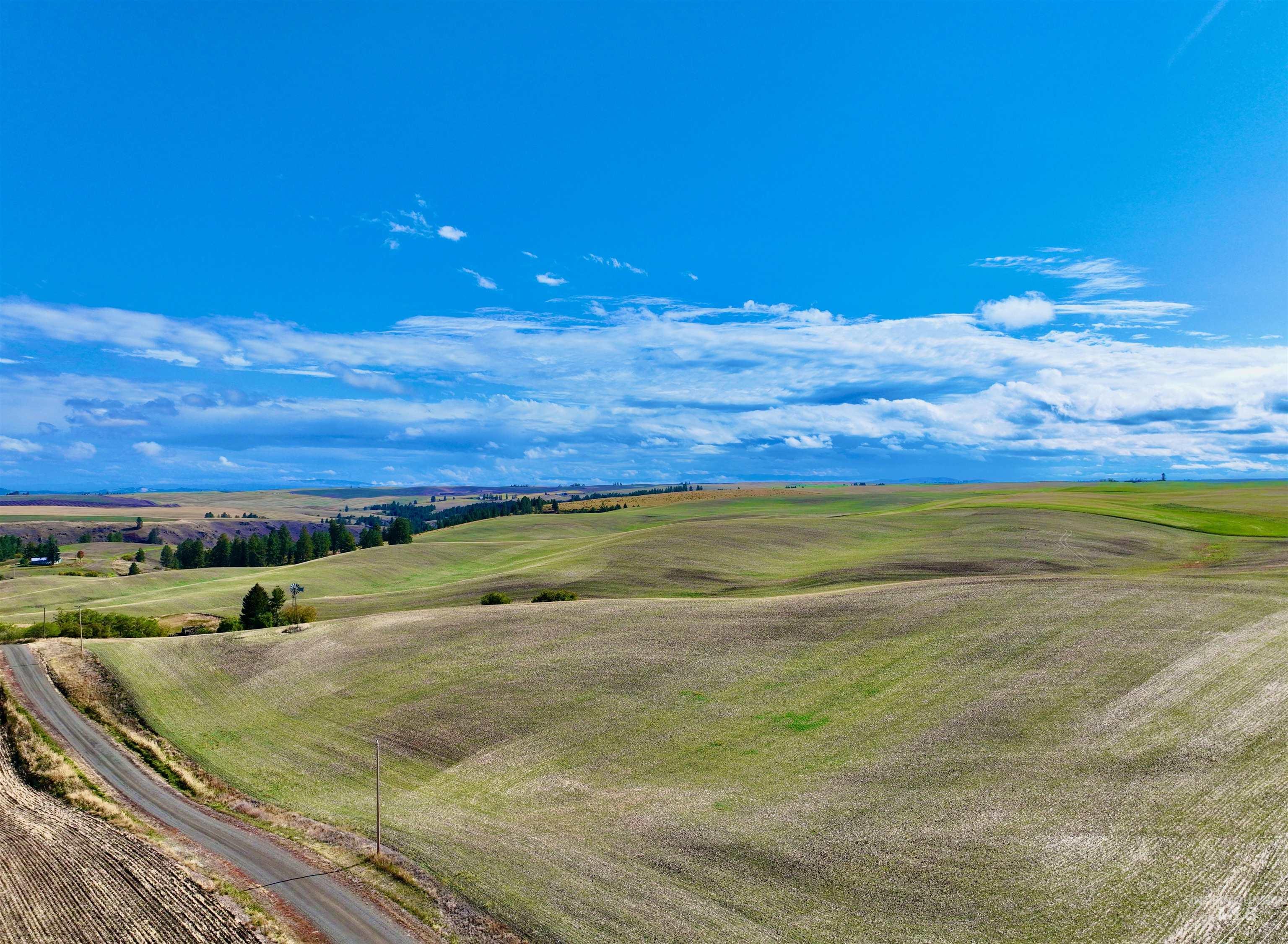 Tbd Central Ridge Road Craigmont, ID 83523 - Photo 24 of 40 Aerial view of sparsely populated area