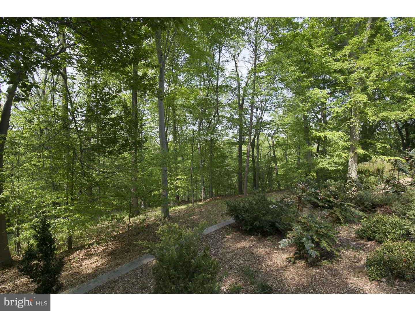 402 Marple Road Broomall, PA 19008 - Photo 23 of 25 Gallery Image 23