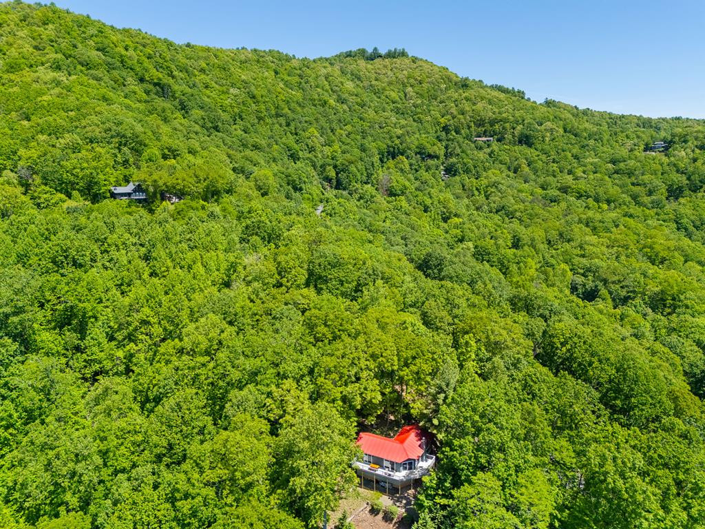 124 U Drive Road Murphy, NC 28906 - Photo 47 of 49