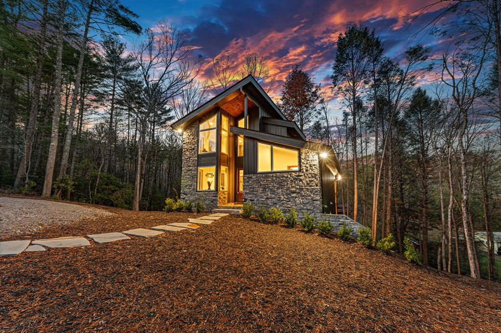 1 Harrison And Ada Road Blue Ridge, GA 30513 - Photo 6 of 73 Gallery Image 6