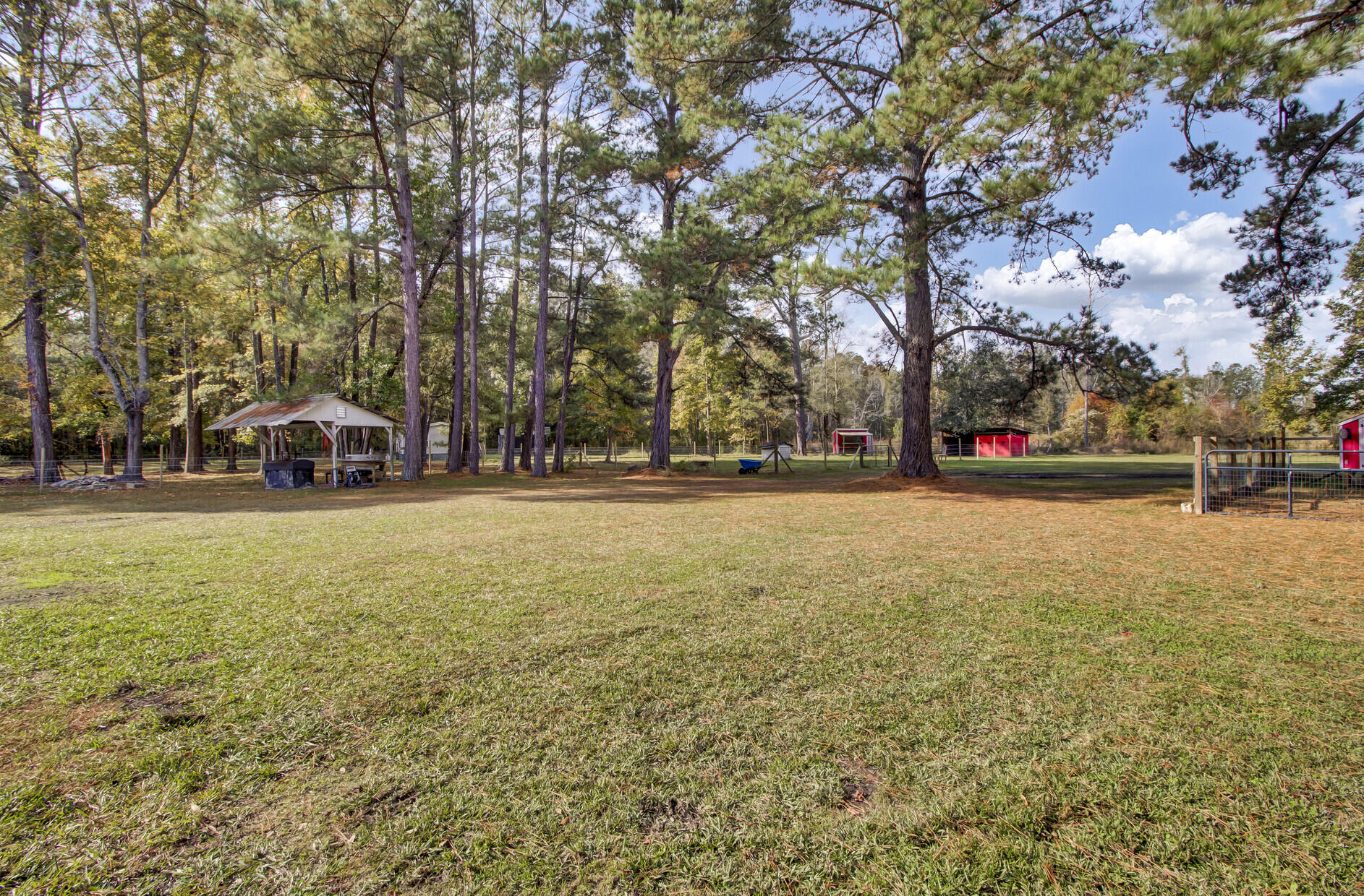 109 Rice Road Ridgeville, SC 29472 - Photo 60 of 76 59_59_mls
