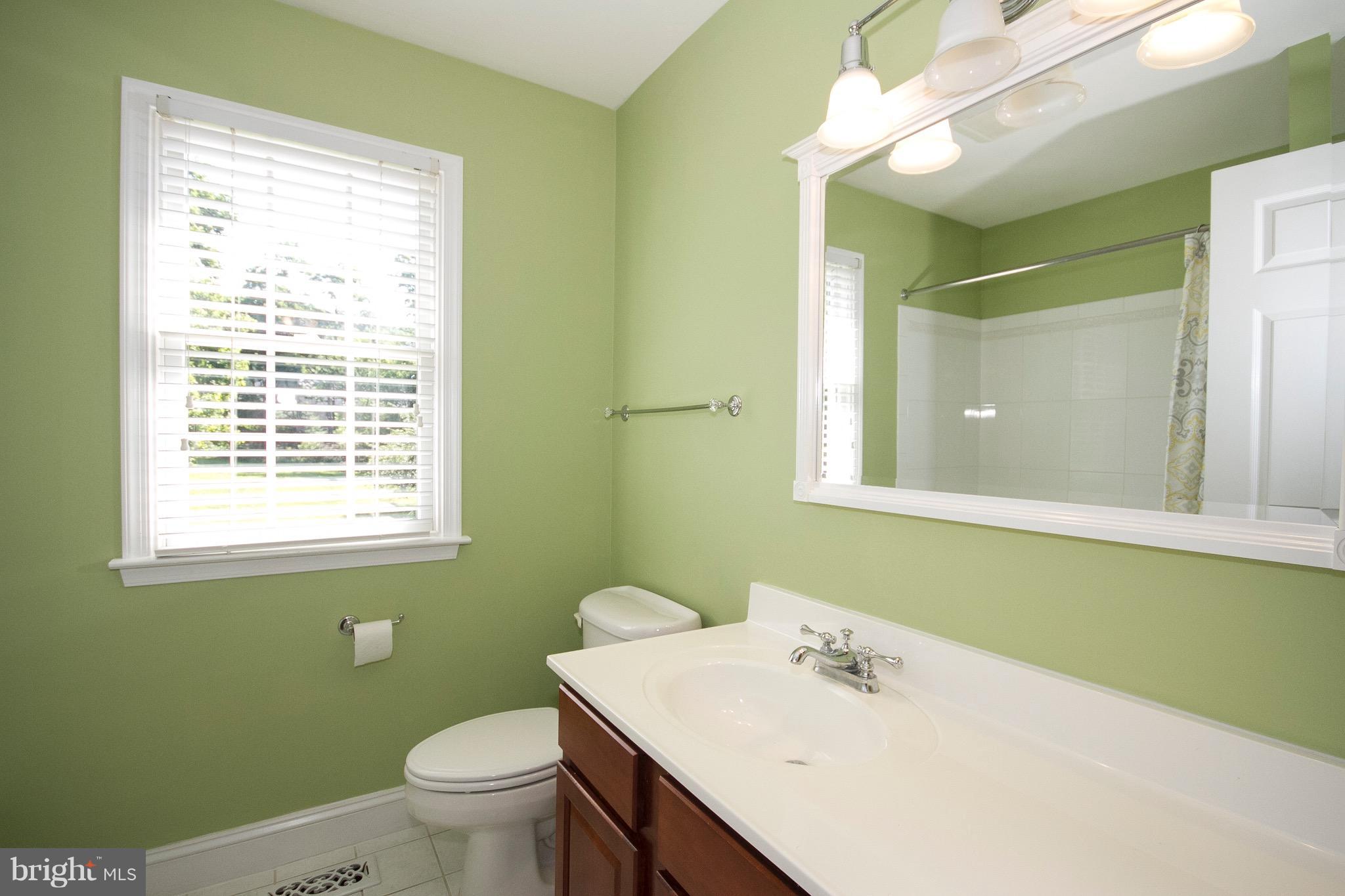 1907 Ridge Road Reisterstown, MD 21136 - Photo 6 of 27 a bathroom with a sink a toilet and a mirror