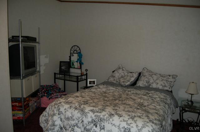 51 Ritz Craft Street Walnutport, PA 18088 - Photo 12 of 12 Third bedroom