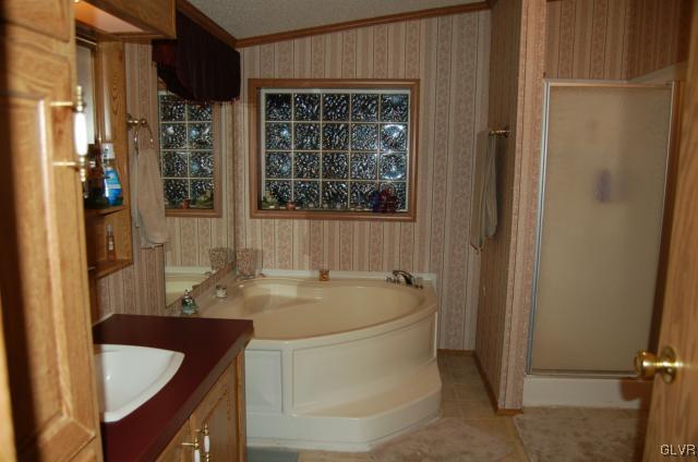 51 Ritz Craft Street Walnutport, PA 18088 - Photo 7 of 12 Master bath