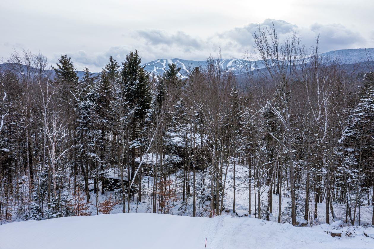 185 South View Path Killington, VT 05751 - Photo 4 of 29 Gallery Image 4