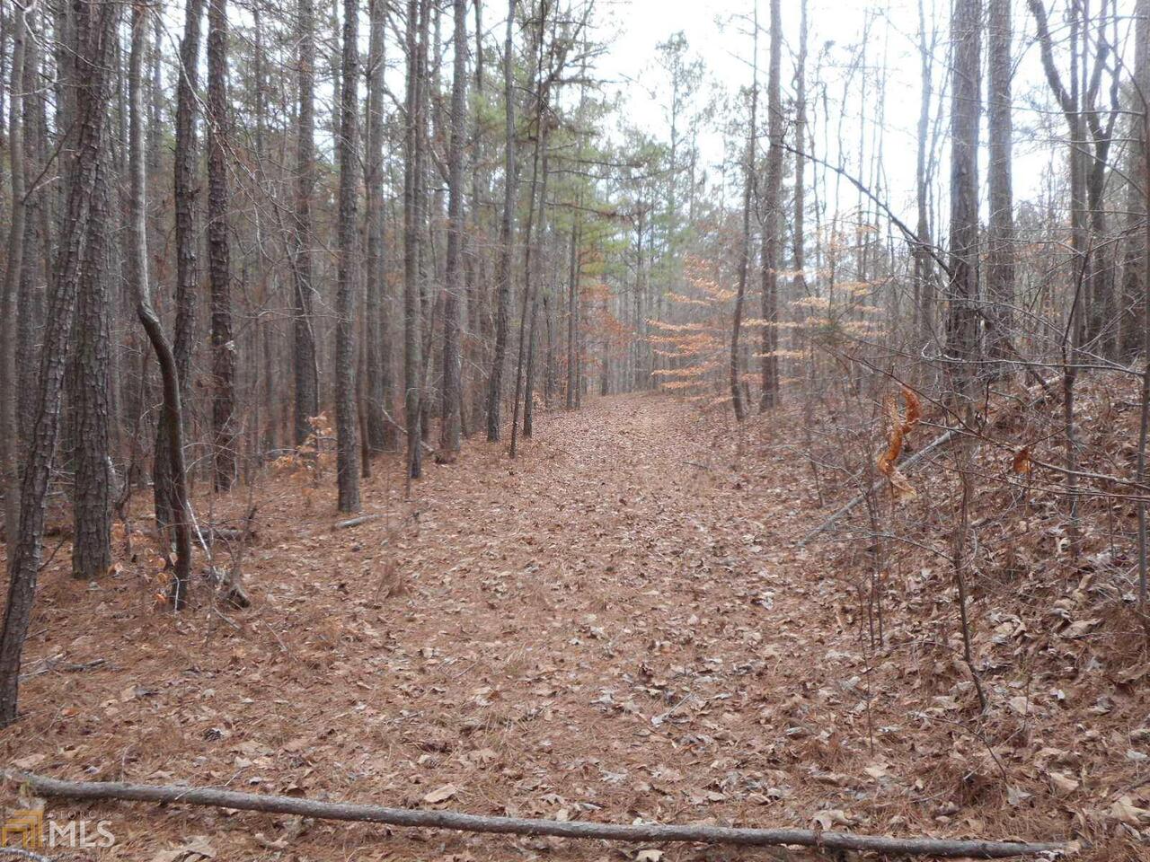 0 Brazell Road Fairburn, GA 30213 - Photo 1 of 1