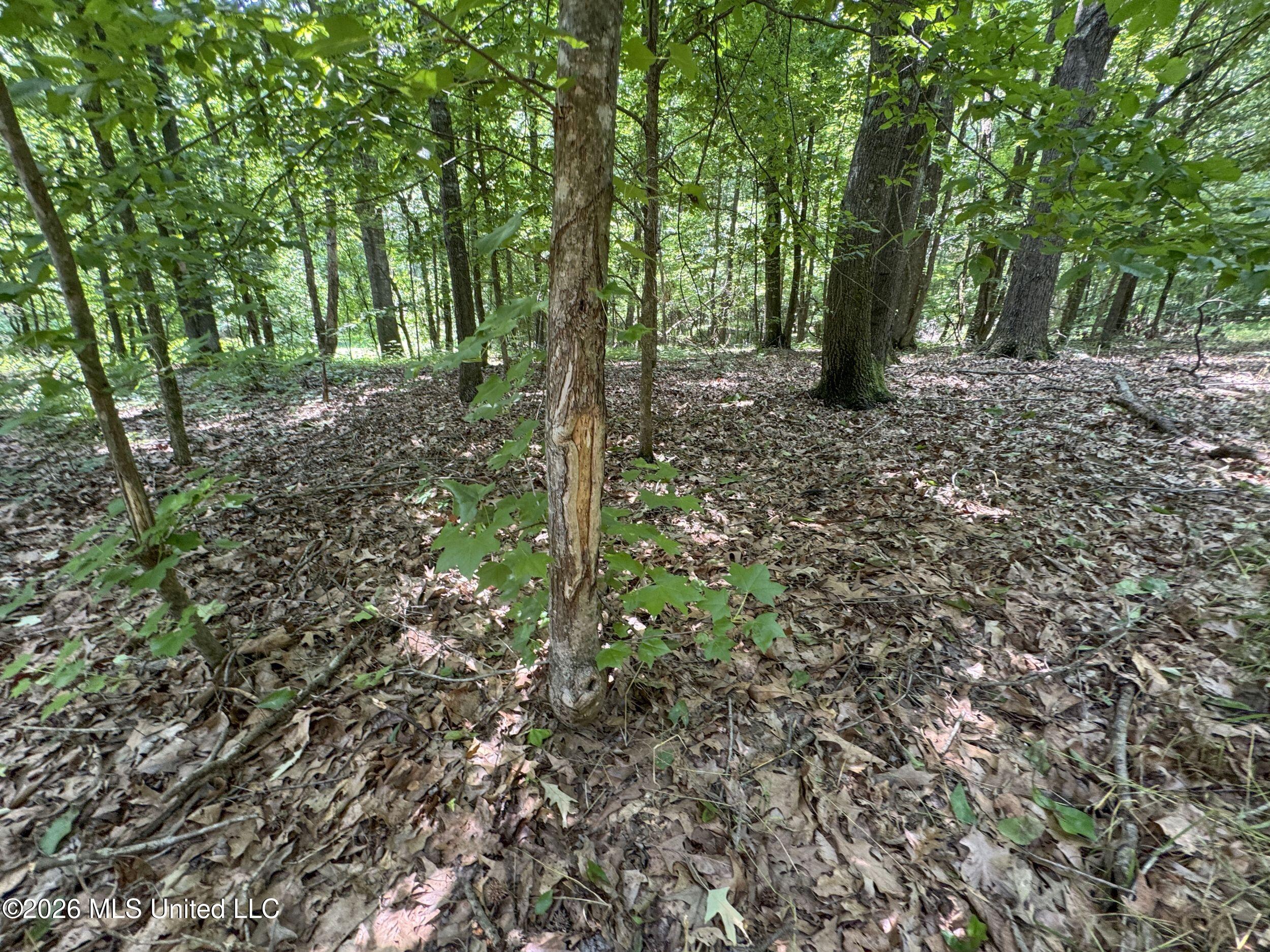 884 Avant Road Crenshaw, MS 38621 - Photo 121 of 154 6dbyicr65
