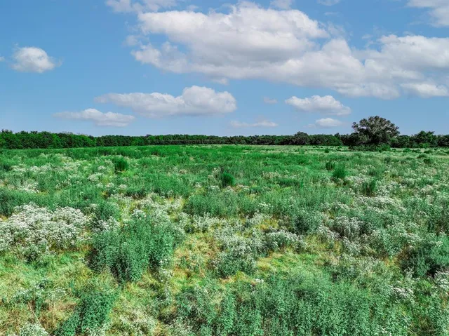 a view of a garden and mountains