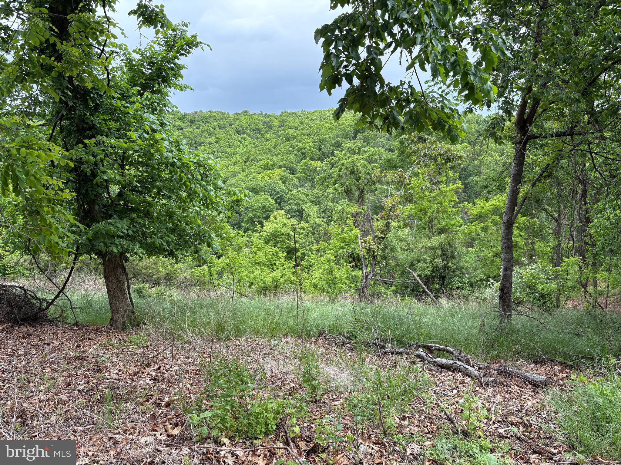 40.15-ac Middle Ridge Road Burlington, WV 26710 - Photo 7 of 47