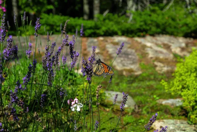 $15,000,000 | 93 Cooksey Drive, Mount Desert, ME 04675