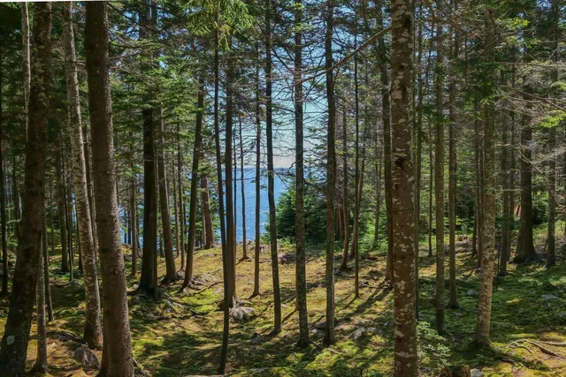 $15,000,000 | 93 Cooksey Drive, Mount Desert, ME 04675
