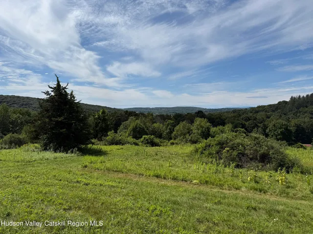 a view of a green field with lots of trees