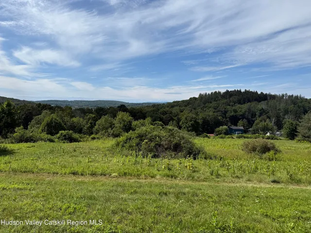 a view of a green field with lots of trees