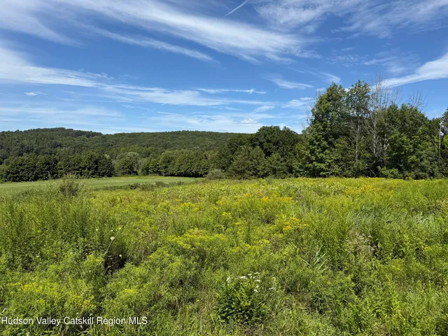 a view of a green field