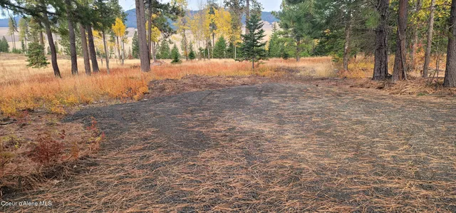 $279,000 | 95 Hwy, Plummer, ID 83851