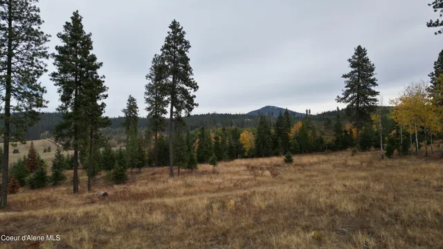 $279,000 | 95 Hwy, Plummer, ID 83851