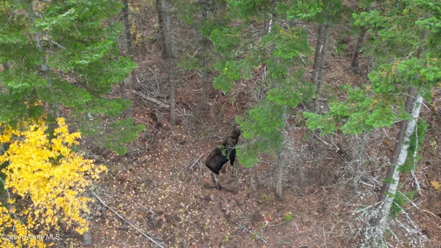 $279,000 | 95 Hwy, Plummer, ID 83851