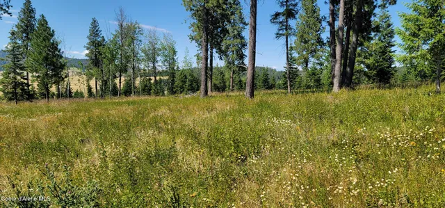 $279,000 | 95 Hwy, Plummer, ID 83851