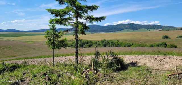 $279,000 | 95 Hwy, Plummer, ID 83851