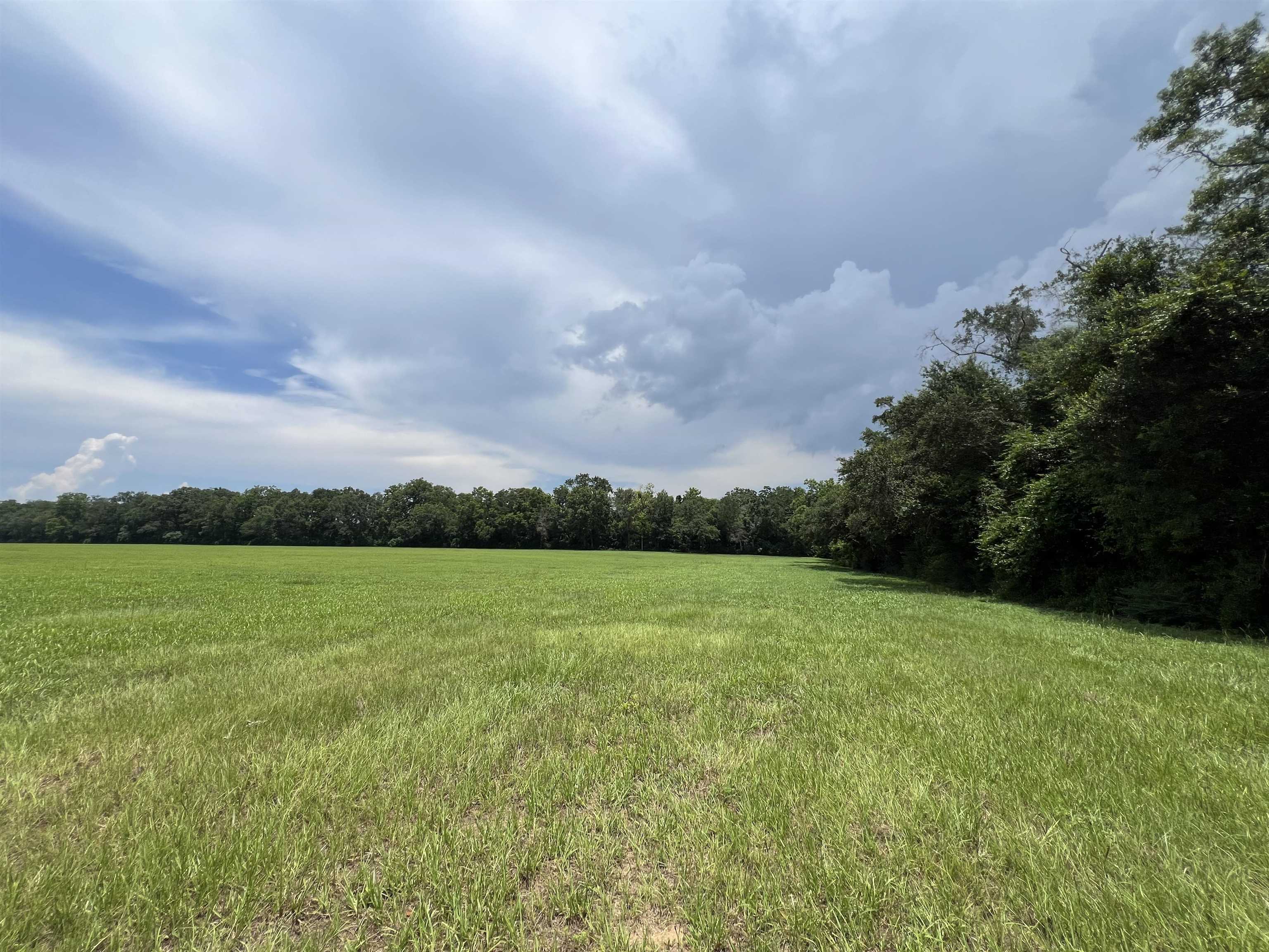 Xx Xx Max Herrin Road Quincy, FL 32352 - Photo 38 of 46