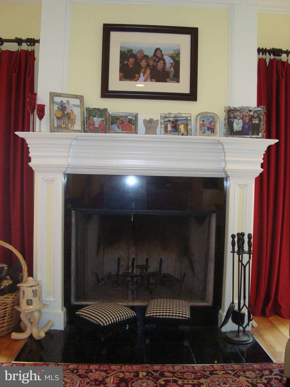 8108 Halton Road Towson, MD 21204 - Photo 15 of 30 Family Room Fireplace