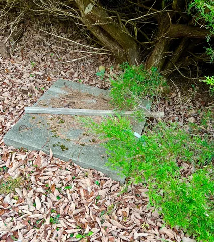 $795,000 | 141 Beech Hill Road, Mount Desert, ME 04660