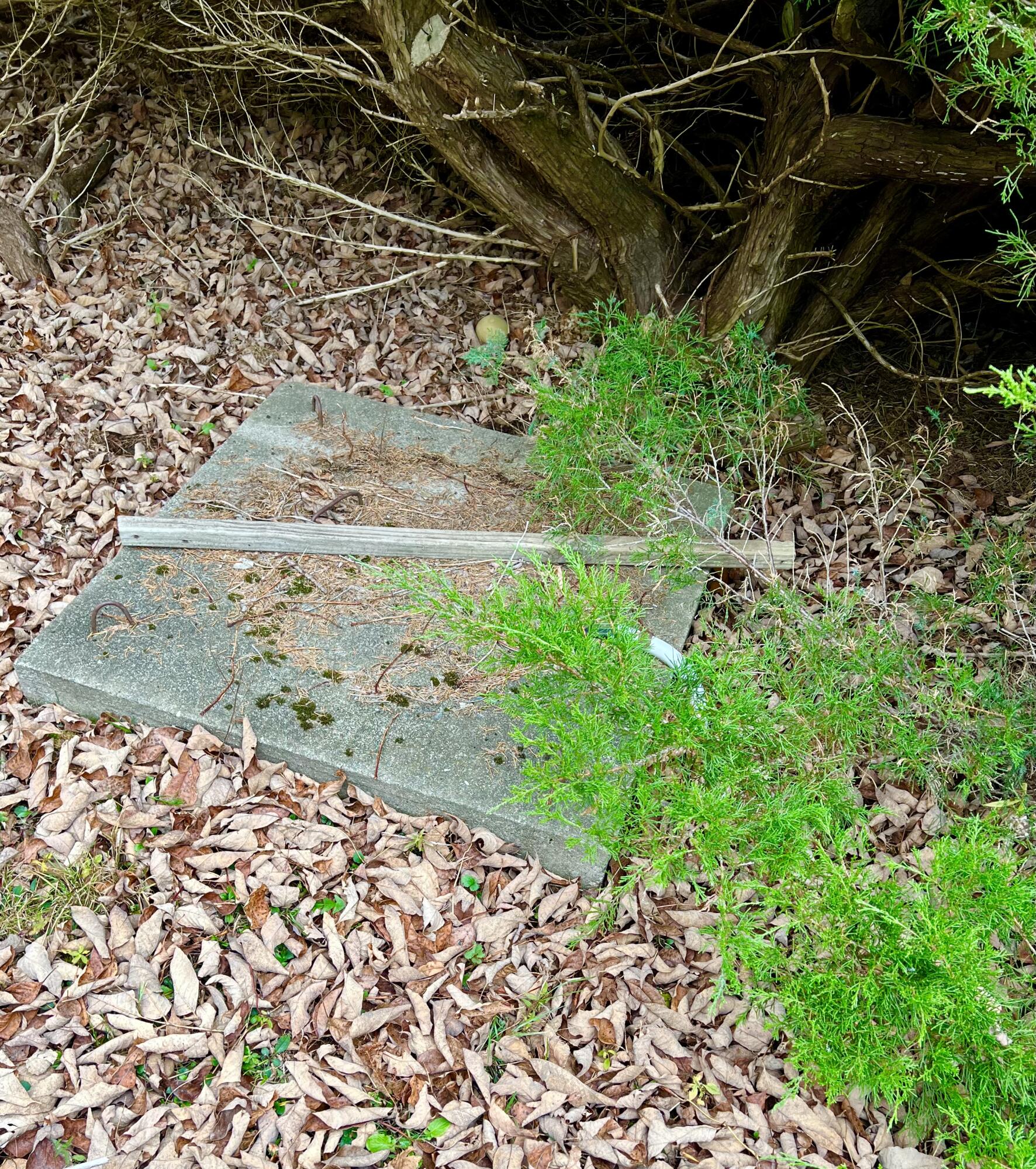 141 Beech Hill Road Mount Desert, ME 04660 - Photo 113 of 113 Septic cover