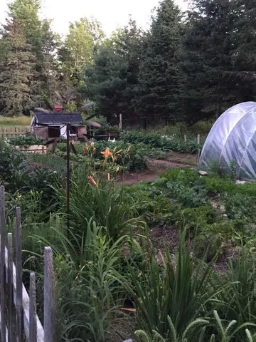 $795,000 | 141 Beech Hill Road, Mount Desert, ME 04660